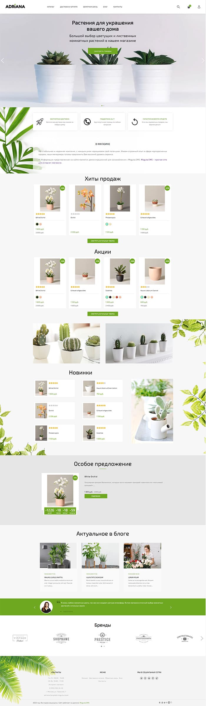 Изображение главной страницы шаблона магазина комнатных растений