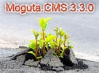 Moguta.CMS 3.3.0 - простая cms для интернет магазина Moguta.CMS 3.3.0 - простая cms для интернет магазина