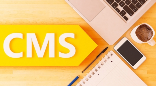 Какую CMS выбрать для интернет-магазина Какую CMS выбрать для интернет-магазина